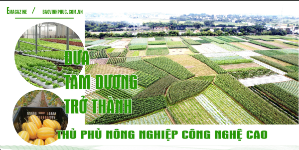 Đưa Tam Dương trở thành thủ phủ nông nghiệp công nghệ cao