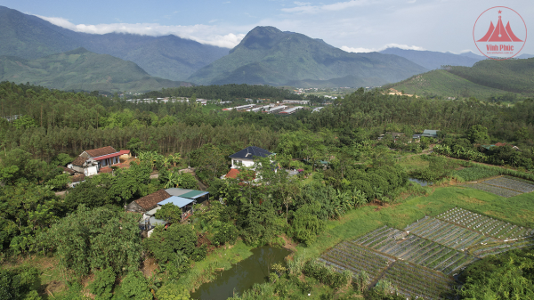  Triển vọng từ mô hình nuôi hươu sao lấy nhung