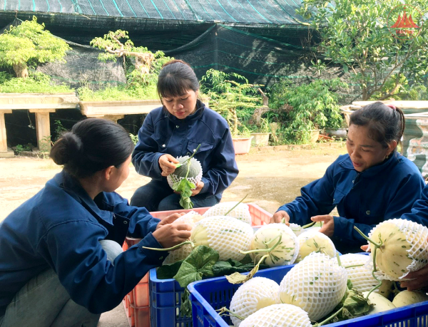 Huyện Tam Dương công nhận thêm 8 sản phẩm đạt OCOP 3 sao