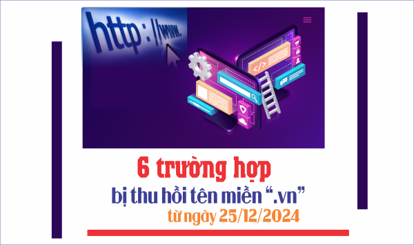 6 trường hợp bị thu hồi tên miền “.vn” từ ngày 25/12/2024