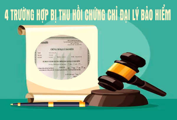 4 trường hợp bị thu hồi chứng chỉ đại lý bảo hiểm