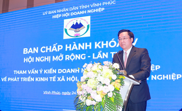 Hiệp hội Doanh nghiệp tỉnh: Triển khai nhiệm vụ năm 2025