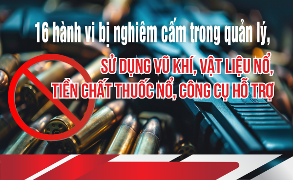 16 hành vi bị nghiêm cấm trong quản lý, sử dụng vũ khí, vật liệu nổ, tiền chất thuốc nổ, công cụ hỗ trợ