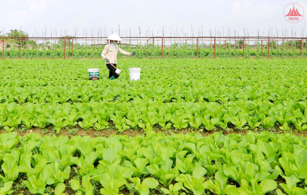 Hỗ trợ hơn 200 tỷ đồng phát triển sản xuất nông nghiệp, thủy sản