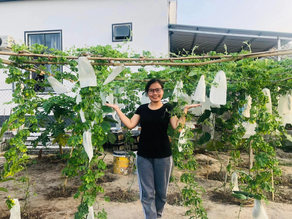 Cô giáo mầm non rời Thành phố Hồ Chí Minh về quê làm vườn, thu hoạch nông sản "khổng lồ"