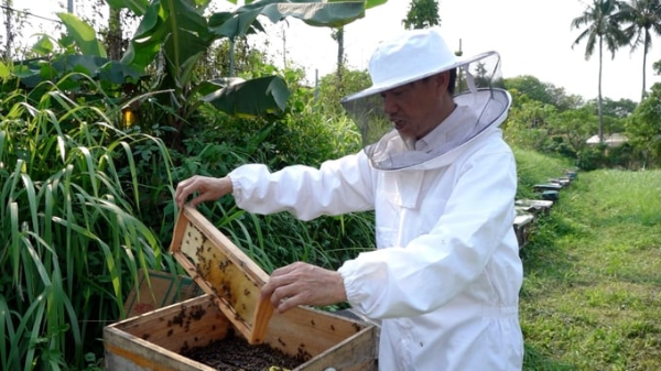 Ngành ong mật chuyển dịch từ "sổ hóa" sang "số hóa"