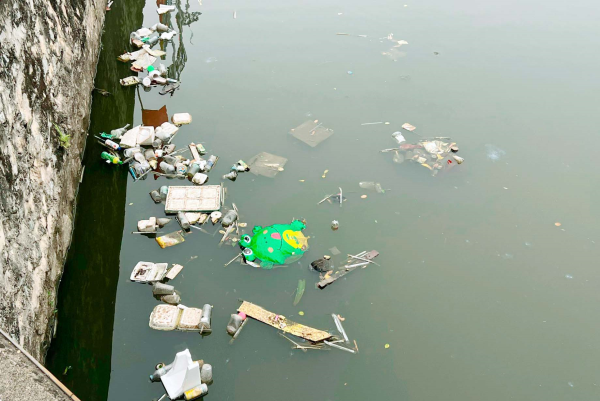 Nâng cao ý thức bảo vệ lá phổi xanh ở hồ Giếng Trẻ