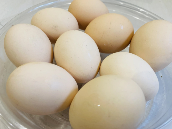 Ăn nhiều trứng có dẫn đến sỏi túi mật?