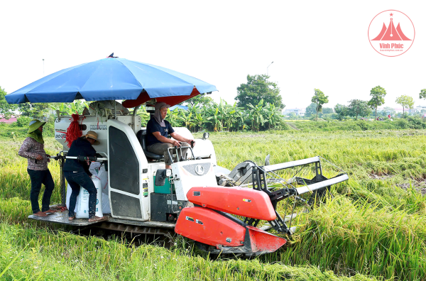 Khôi phục sản xuất sau bão số 3, thúc đẩy tăng trưởng kinh tế