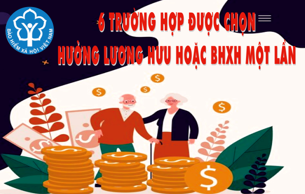 6 trường hợp được chọn hưởng lương hưu hoặc BHXH một lần