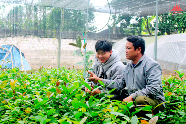 Tiên phong liên kết vùng, gắn sản xuất và chế biến