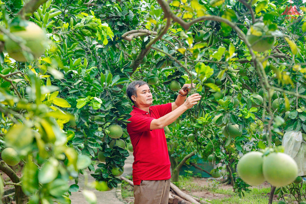 Nâng cao thu nhập và phúc lợi cho người dân