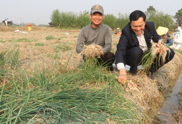  Hành vụ đông bội thu