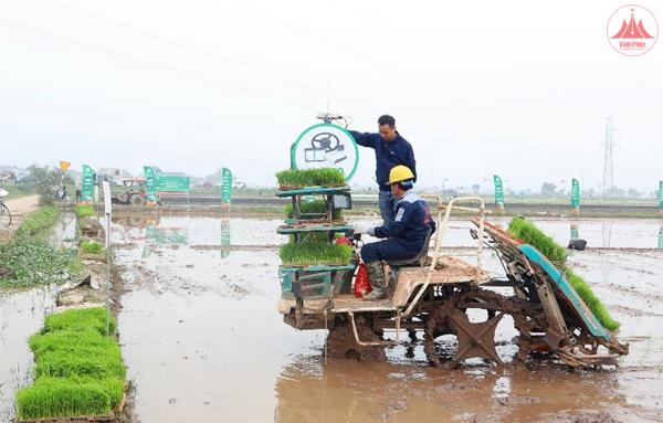 Thúc đẩy phát triển kinh tế tuần hoàn trong sản xuất nông nghiệp