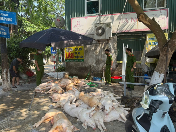 Phát hiện gần 1 tấn thịt lợn có biểu hiện xuất huyết ngoài da chuẩn bị được cung cấp cho một công ty trong Khu công nghiệp Khai Quang