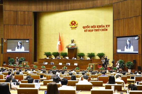 Kỳ họp thứ 9, Quốc hội khóa XV:  Cơ chế hậu kiểm cho kinh tế tư nhân phải đủ mạnh, minh bạch và hiệu quả