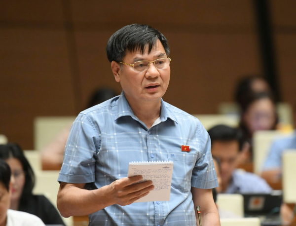 Đại biểu Quốc hội tỉnh góp ý kiến về dự thảo Luật Tổ chức Viện kiểm sát nhân dân