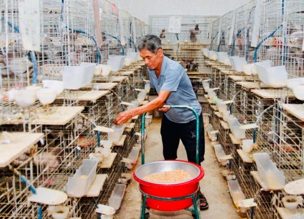Giải quyết việc làm gắn với giảm nghèo bền vững ở Yên Lạc