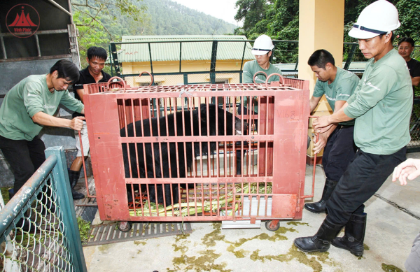 Sống hài hòa với thiên nhiên và phát triển bền vững