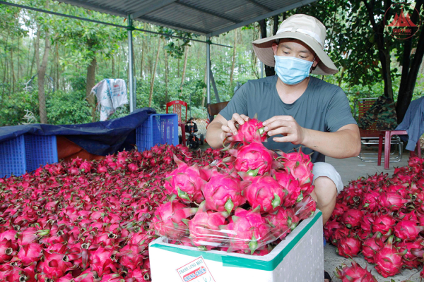 Phát triển nông, lâm, thủy sản gắn với đa dạng hóa thị trường