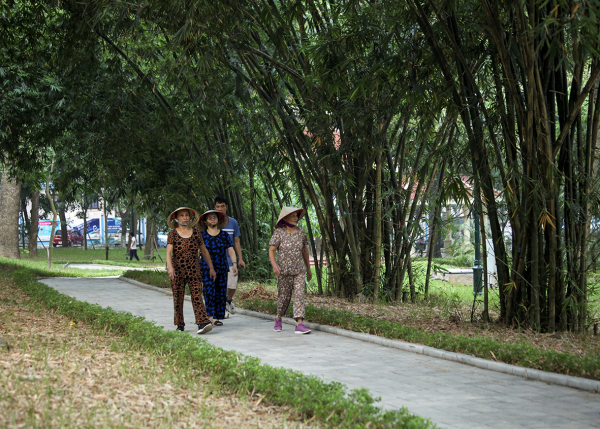 Diện tích cây xanh bình quân đầu người của thành phố Vĩnh Yên cao hơn so với mặt bằng chung của cả nước