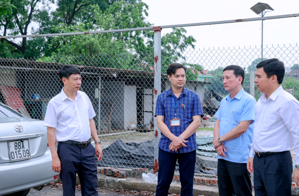 Kiên quyết xử lý dứt điểm những sai phạm về đất đai