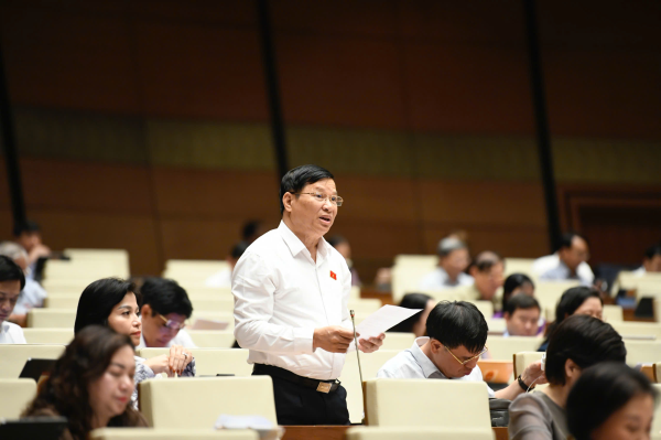 Đại biểu Quốc hội tỉnh cho ý kiến vào dự thảo Luật Việc làm (sửa đổi)