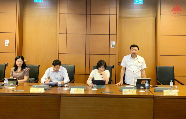 Đại biểu Quốc hội tỉnh cho ý kiến nhiều nội dung quan trọng