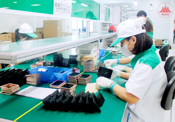 Huy động và sử dụng hiệu quả nguồn lực từ khu vực kinh tế tư nhân