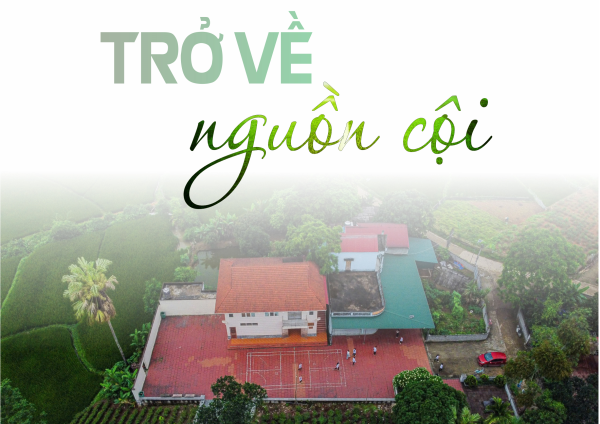 Trở về nguồn cội