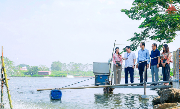 Hội Nhà báo tỉnh nâng cao vai trò, chất lượng hoạt động trong tình hình mới