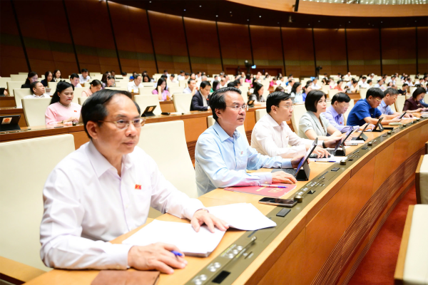 Đại biểu Quốc hội tỉnh góp ý vào dự án Luật Đường sắt (sửa đổi)