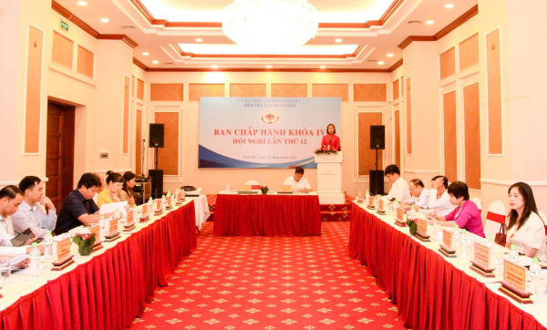 Hiệp hội Doanh nghiệp tỉnh tổ chức Hội nghị lần thứ 12, Ban Chấp hành khóa IV