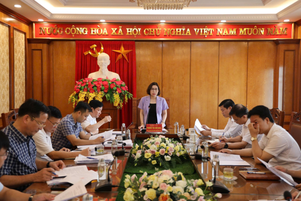 Phó Chủ tịch UBND tỉnh Phùng Thị Kim Nga kiểm tra công tác tổ chức mô hình chính quyền địa phương 2 cấp tại huyện Sông Lô
