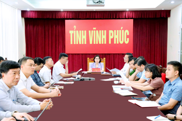 Rà soát tiến độ và kết quả triển khai các nhiệm vụ chuyển đổi số liên thông