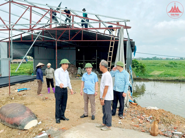 Vĩnh Tường quyết liệt xử lý vi phạm đất đai