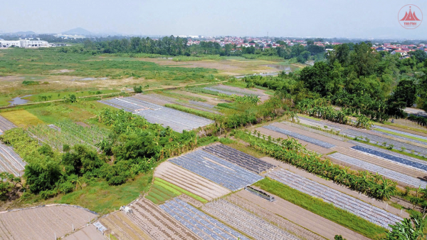 Phát huy vai trò dân vận trong công tác giải phóng mặt bằng ở Bình Xuyên