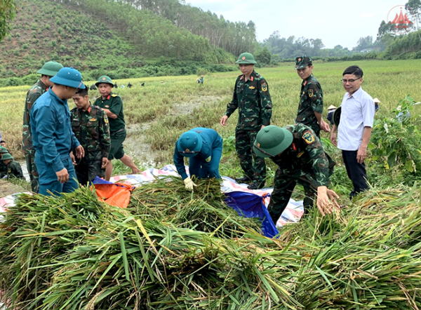 Xây dựng lực lượng dân quân tự vệ vững mạnh, rộng khắp