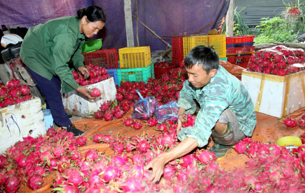 Huyện Lập Thạch đạt nhiều kết quả trong công tác giảm nghèo