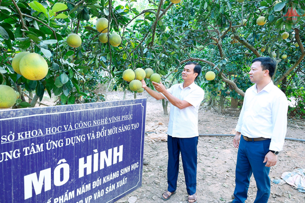 Sáng mãi phẩm chất “Bộ đội Cụ Hồ”