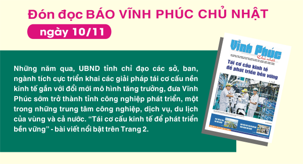 Đón đọc Báo Vĩnh Phúc Chủ nhật ngày 10/11