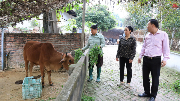 Chuyển biến trong công tác giảm nghèo ở Tam Dương