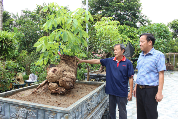 Sức sống mới ở an toàn khu Ngọc Mỹ