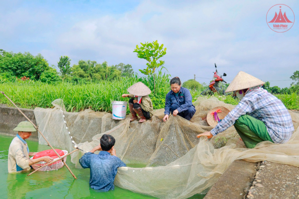 “Trái ngọt” trên hành trình giảm nghèo