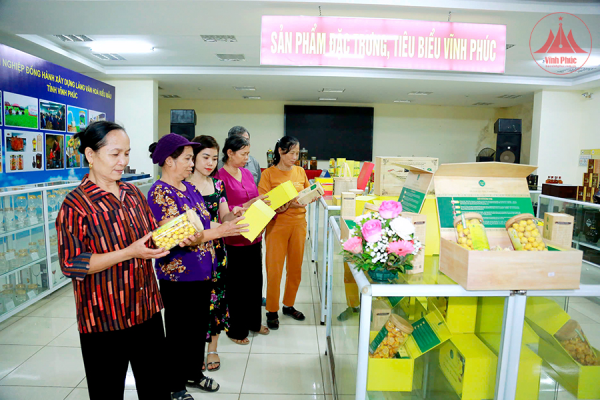 Gắn kết du lịch, quảng bá hình ảnh Vĩnh Phúc thông qua sản phẩm OCOP