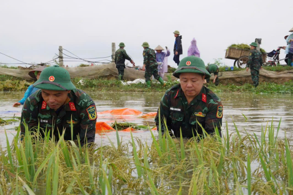 Huy động gần 1.000 cán bộ, chiến sĩ giúp dân ứng phó mưa lũ