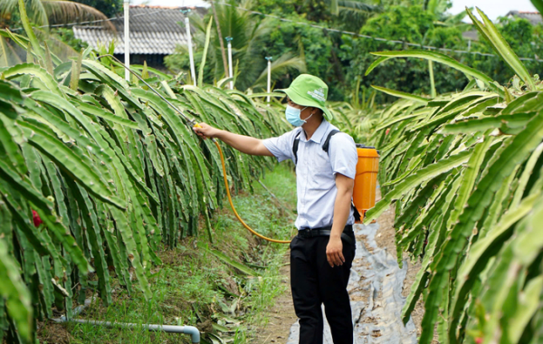 Rộng mở thị trường thuốc bảo vệ thực vật sinh học