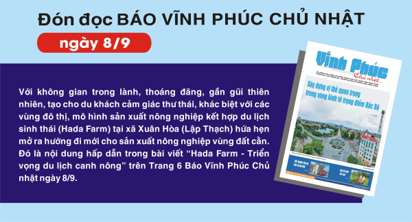 Đón đọc Báo Vĩnh Phúc Chủ nhật ngày 8/9