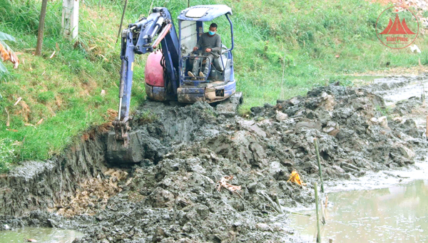 Đảm bảo an toàn cho lúa, hoa màu bị ảnh hưởng bởi bão số 3