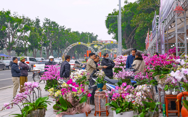 Xuân về trên đôi cánh Vạc bay